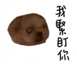 635374120