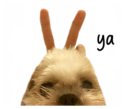 635374123
