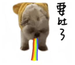 635374136