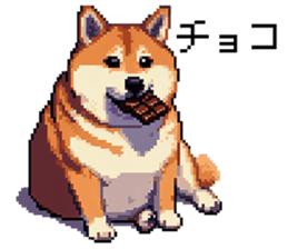 635381308