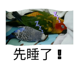 635395651