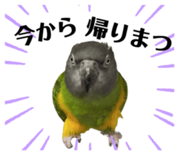 635397065