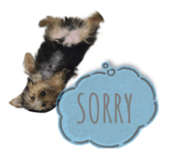 635403608