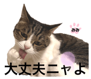 635404788