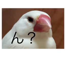 635429827