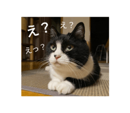 635430892