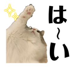 635435080