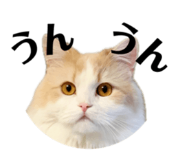 635435091