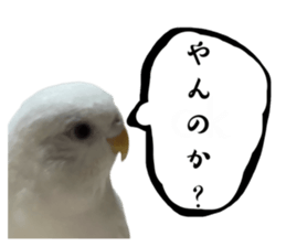 635487824