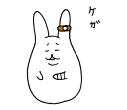 6355019