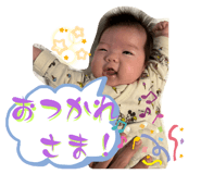 635530520