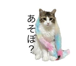 635540190
