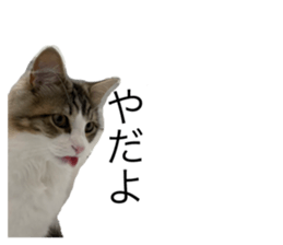 635540194