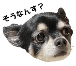 635540735
