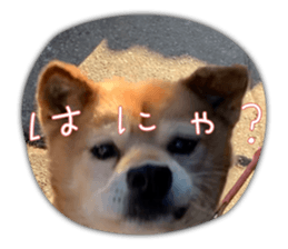 635563043