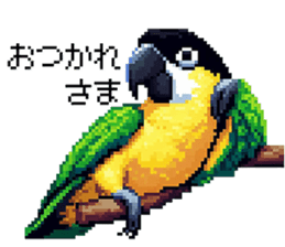 635563553