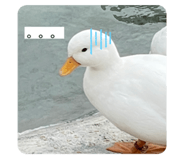 635573731