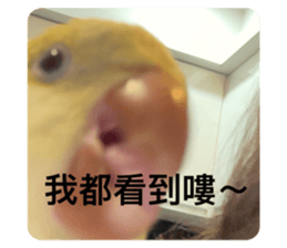 635573733
