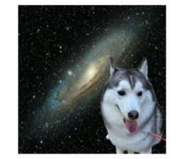 635574281