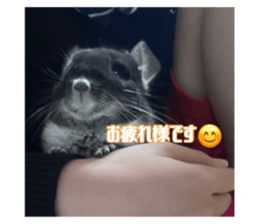 635576607