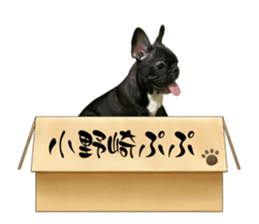 635578917