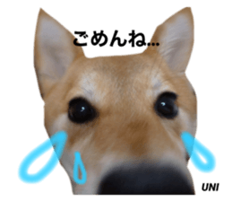 635590009
