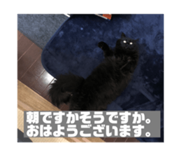 635601155