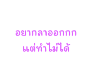 635620518