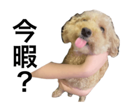 635637957