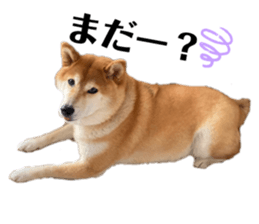 635671886