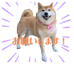 635671891