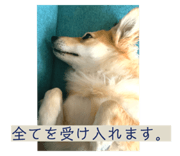635731076