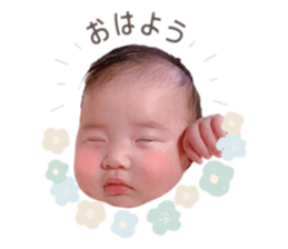 635732736