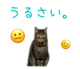 635743061