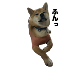 635752059