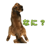 635752145