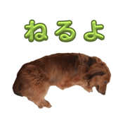 635752146
