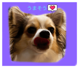 635759921