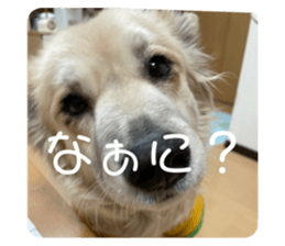 635761382