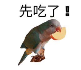 635761445