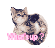 635762163