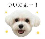 635773640