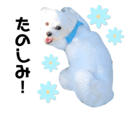 635773652