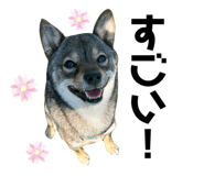 635773660