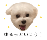 635773665