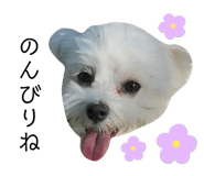 635773666
