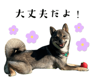635773667