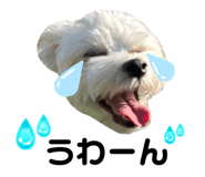 635773670