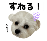 635773672