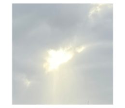 635788115